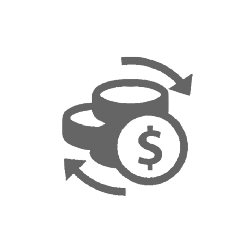 Currency Icon
